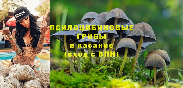 мяу мяу кристалл Кинешма
