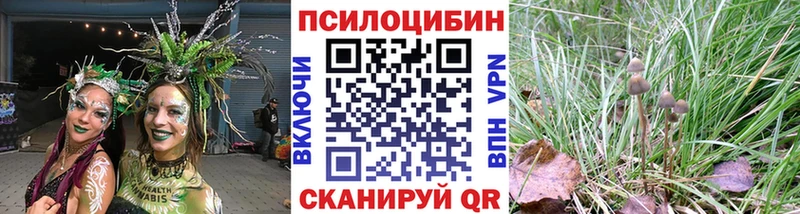 Купить закладки  Рязань  Псилоцибиновые грибы GOLDEN TEACHER 